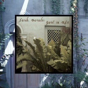 the album cover for Sarah Davachi - Gave In Rest