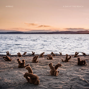 the album cover for Airbag - A Day At The Beach [LP]
