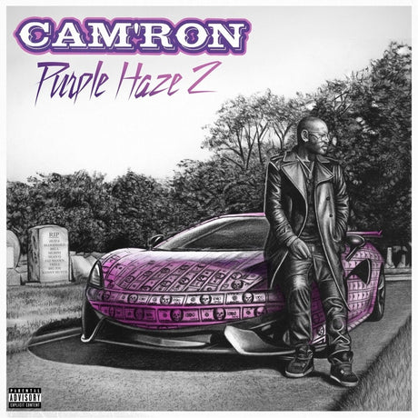 the album cover for Camron - Purple Haze 2