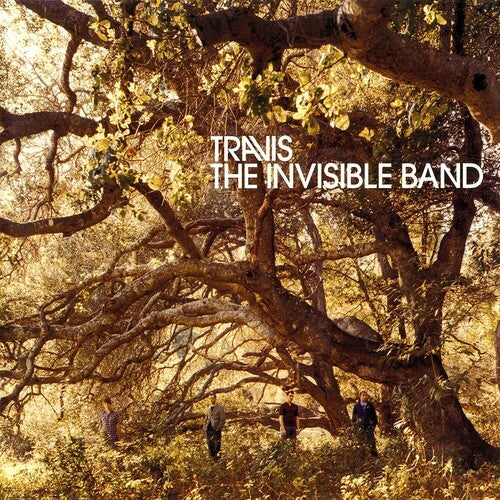 The Invisible Band (20th Anniversary) [LP] (Vinyl)