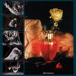 the album cover for Entry - Detriment