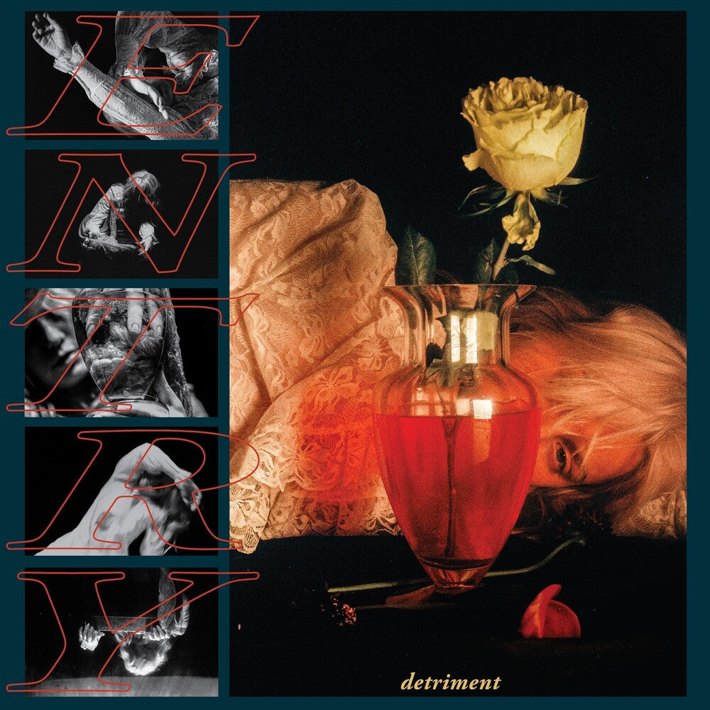 the album cover for Entry - Detriment
