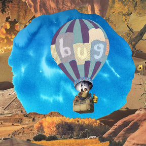 the album cover for Pictures of Vernon - Bug