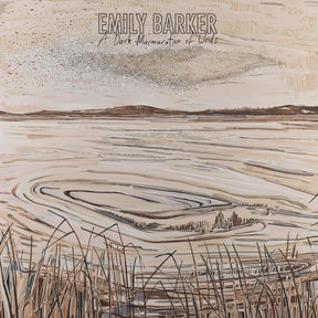 the album cover for Emily Barker - A Dark Murmuration of Words [LP]