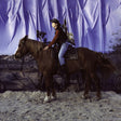 the album cover for The Holy Motors - Horse [LP]