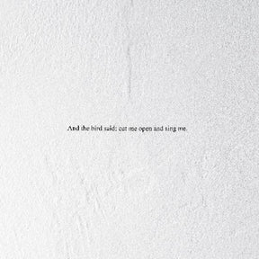 the album cover for Prairie - Bird Said: Cut Me Open And Sing Me [Clear Vinyl] [180 Gram]