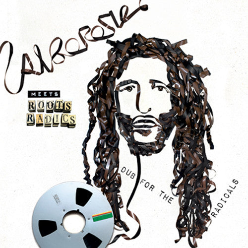 the album cover for Alborosie - Alborosie Meets Roots Radics - Dub For The Radicals