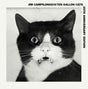 the album cover for Jim Campilongo / Ten Gallon Cats - Jim Campilongo & Ten Gallon Cats