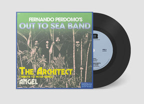 the album cover for Fernando Perdomo - The Architect (Tribute To Peter Banks) / Angel