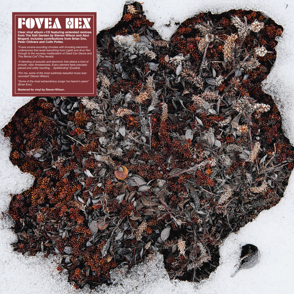 the album cover for Fovea Hex - Salt Garden (Clear Vinyl) (W/Cd) [Clear Vinyl]