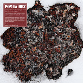 the album cover for Fovea Hex - Salt Garden (Clear Vinyl) (W/Cd) [Clear Vinyl]
