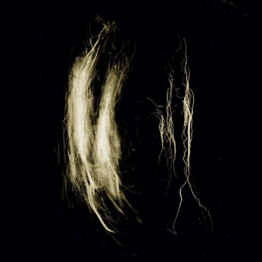 the album cover for My Heart An Inverted Flame - Plague Notes