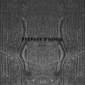 the album cover for Paysage Dhiver - Im Traum