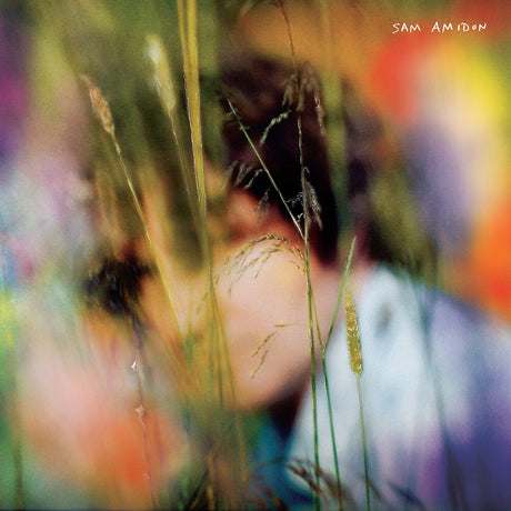 the album cover for Sam Amidon - Sam Amidon [Import LP]