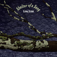 the album cover for Lisa / Liza - Shelter Of A Song