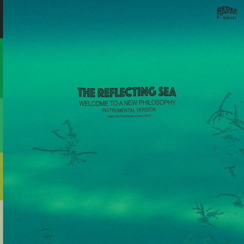 the album cover for Damu The Fudgemunk & Raw Poetic - Instrumentals From The Reflecting Sea