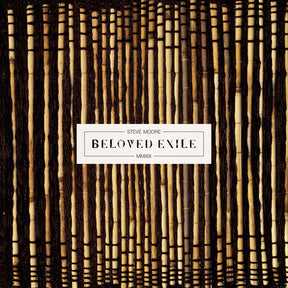 the album cover for Steve Moore - Beloved Exile