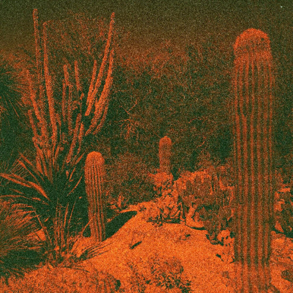 the album cover for Cameron Knowler  / Winter,Eli - Anticipation [Colored Vinyl] (Purp) [Indie Exclusive]