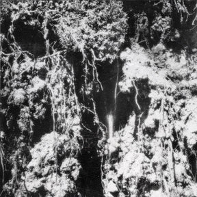 the album cover for Den Sorte Dod - Den Sorte Dod