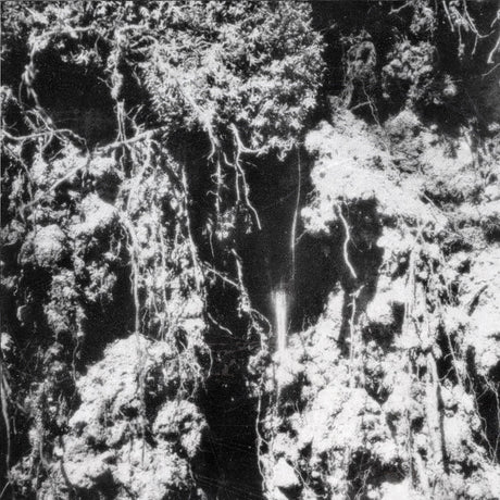 the album cover for Den Sorte Dod - Den Sorte Dod