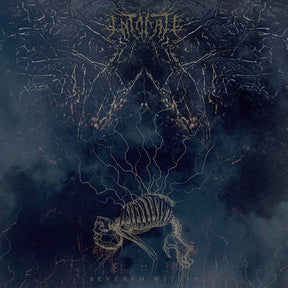 the album cover for Intonate - Severed Within [Colored Vinyl]