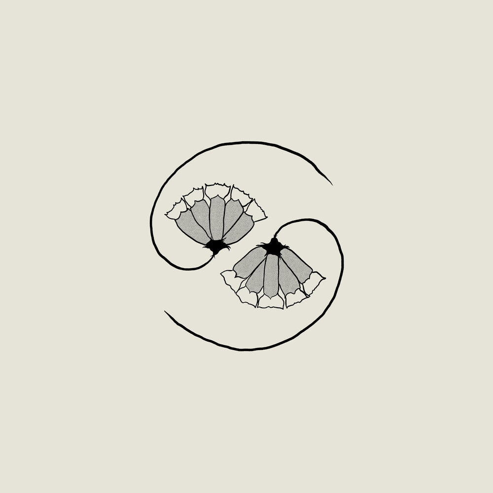 Godspeed You! Black Emperor - G_D's Pee At State's End! [180 gram LP + 10in] Vinyl Record