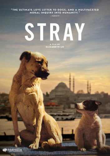 Stray - Stray - DVD