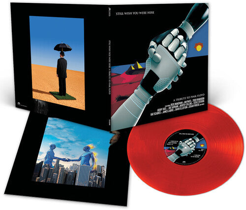 Pink Floyd Tribute: Still Wish You Were Here / Various (Vinyl)