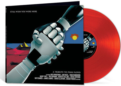 Pink Floyd Tribute: Still Wish You Were Here / Various (Vinyl)