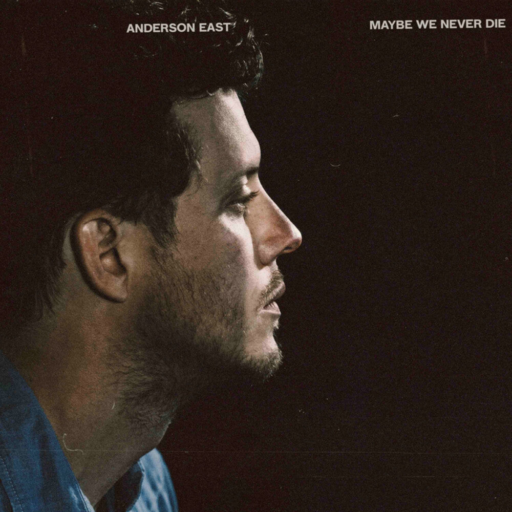 Maybe We Never Die [CD]