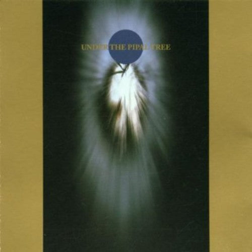 Momo - Under The Pipal Tree - Music CD