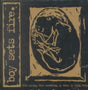 the album cover for BoySetsFire - This Crying This Screaming My Voice Is Being Born