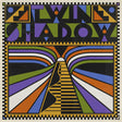 the album cover for Twin Shadow - Twin Shadow (Gate) [Limited Edition]
