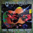 the album cover for Andy Falco - Will Of The Way