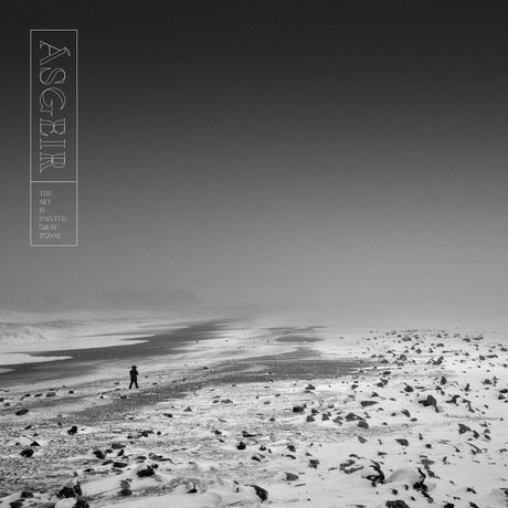 the album cover for Asgeir - Sky Is Painted Gray Today