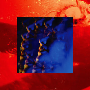 the album cover for Little Hag - Leash
