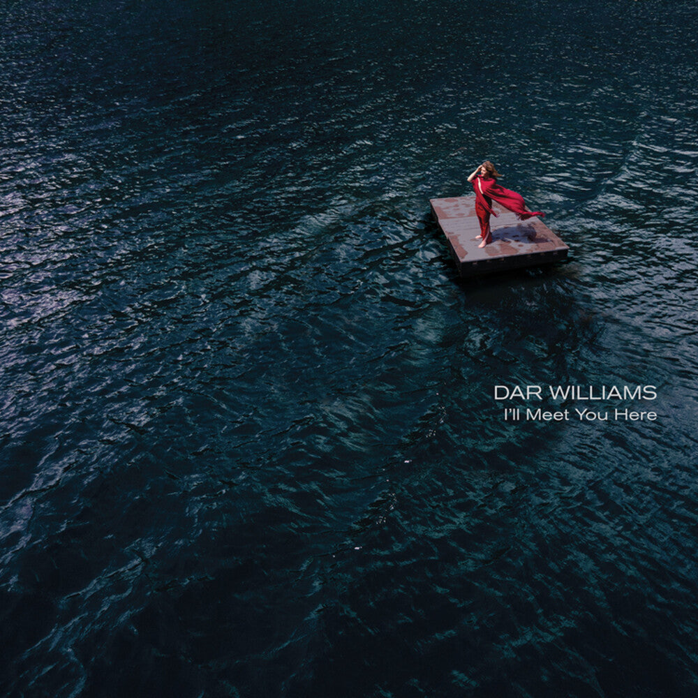 I'll Meet You Here [CD]