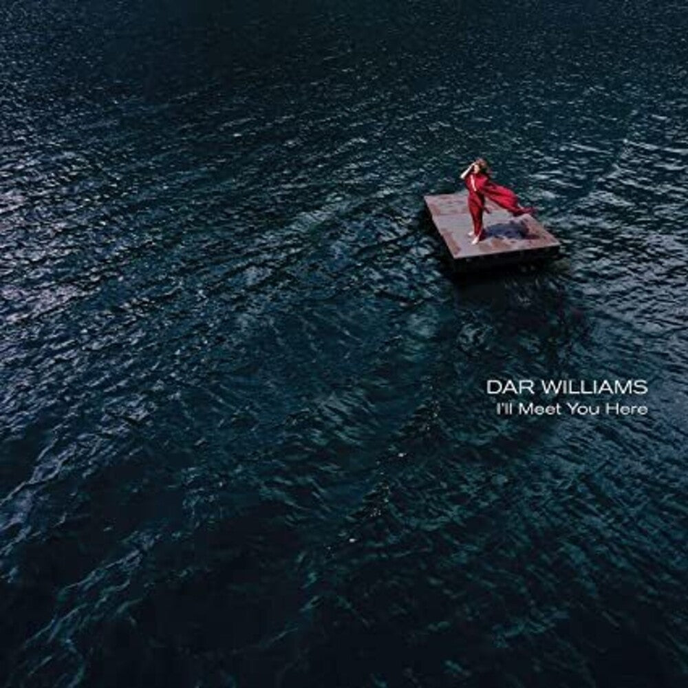 I'll Meet You Here [LP]