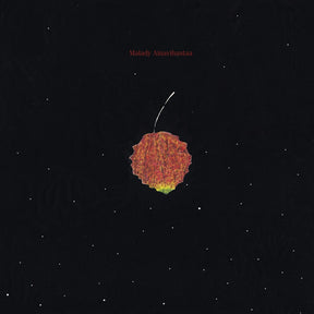 the album cover for Malady - Ainavihantaa