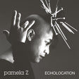 the album cover for Pamela Z - Echolocation (Natural Swirl Vinyl) [Colored Vinyl]