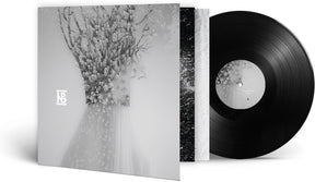 the album cover for Negura Bunget - Zau (Gate) [180 Gram]
