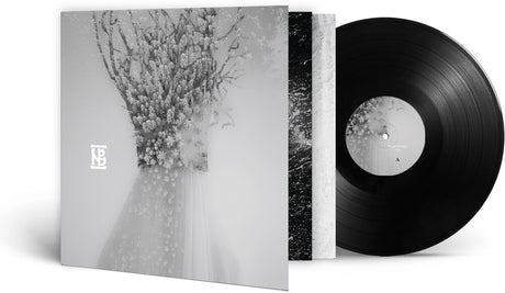 the album cover for Negura Bunget - Zau (Gate) [180 Gram]