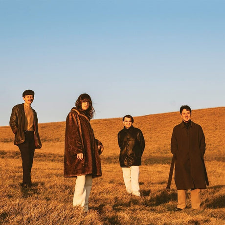 the album cover for FUR - When You Walk Away [LP]