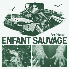 the album cover for Enfant Sauvage - Petrichor