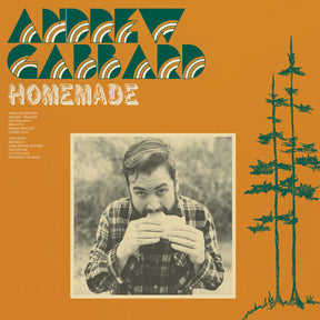 the album cover for Andrew Gabbard - Homemade [Black LP]