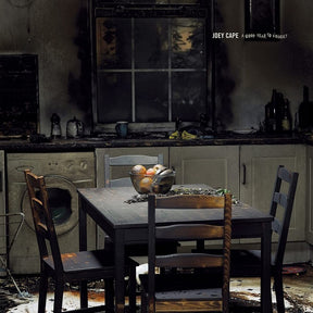 the album cover for Joey Cape - Good Year To Forget