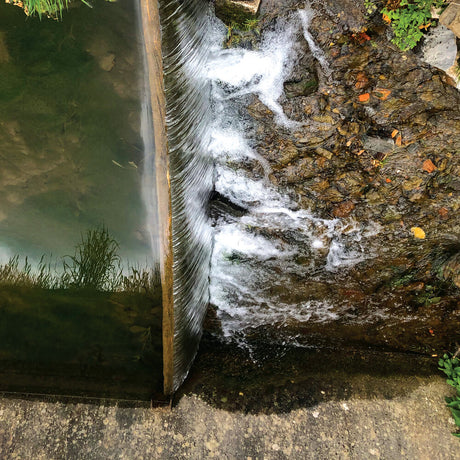 the album cover for Jessica Moss - Phosphenes [LP]