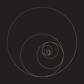 the album cover for Ocean - Phanerozoic Live (Blk)
