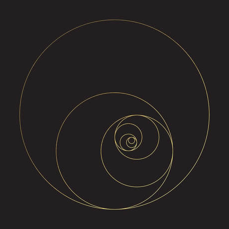 the album cover for Ocean - Phanerozoic Live (Blk)