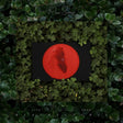 the album cover for Moses Sumney - Live From Blackalachia [2LP]